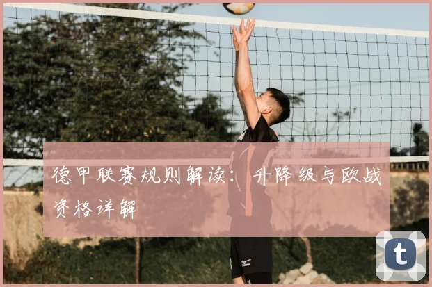 德甲联赛规则解读:升降级与欧战资格详解